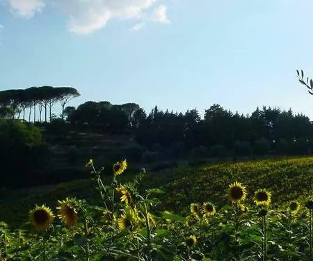 Perugia Sleeps 3 Air Con T241611 דירה Ramazzano - Le Pulci